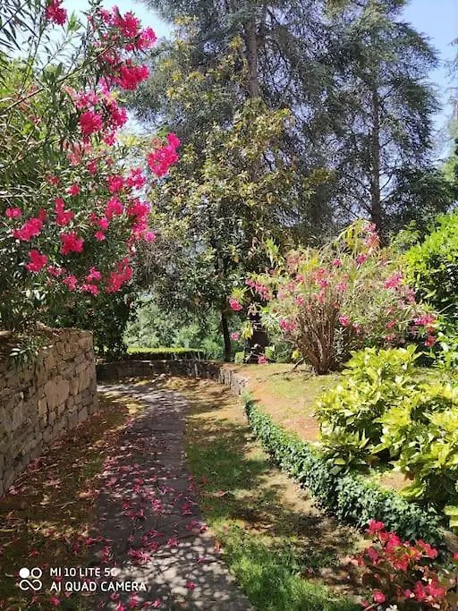 Area Di Gabri E Alfo - Rapallo Gate'S House